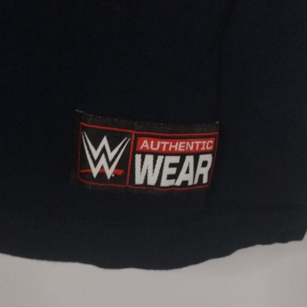 Hardy Boyz Reborn By Fate Tshirt Mens XL Matt Jeff WWE Authentic Wear Wrestling - Picture 5 of 6